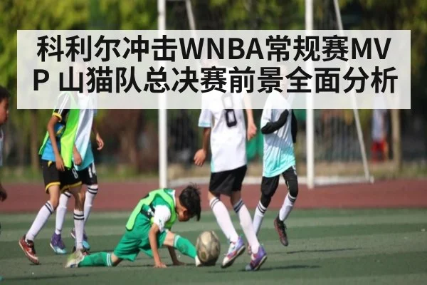 科利尔冲击WNBA常规赛MVP 山猫队总决赛前景全面分析